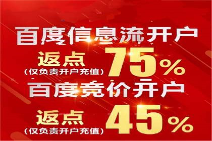 案例研究：关键词竞价排名实战经验